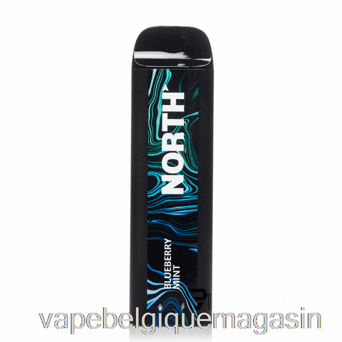 Vape Jetable North 5000 Jetable Myrtille Menthe